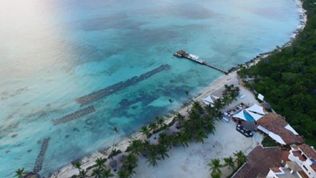 Appartement Cadaques Caribe Pez 103 à Bayahibe Extérieur photo